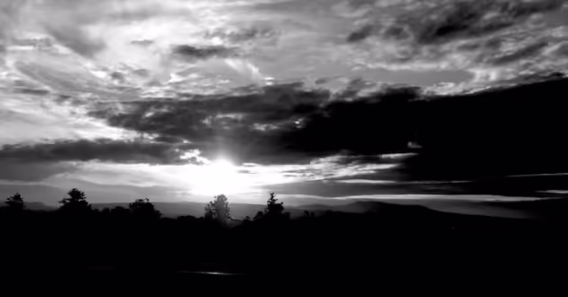 alberi-della-siluetta-contro-il-cielo-durante-il-tramonto_1048944-30938891